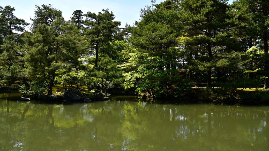 清水園の池 / 2