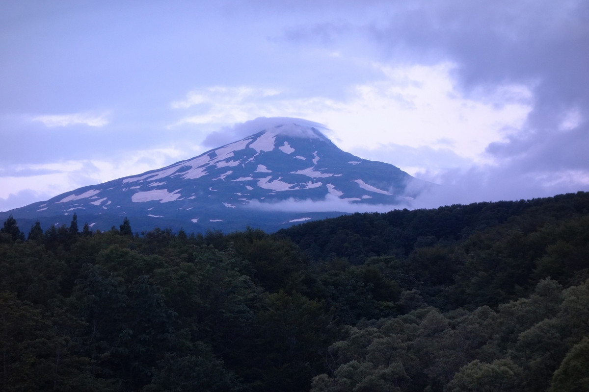 部屋からの景色