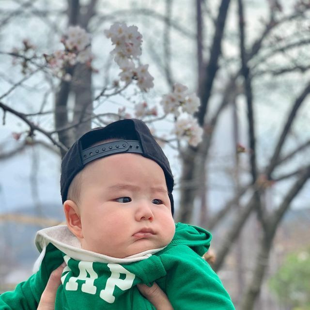 宿から徒歩約3分の「京都市動物園」は、日本でも数少ないゴリラが見られる動物園。規模が小さく子連れでも周りやすい。春には、動物園から「岡崎疎水」の桜並木が見える / 1