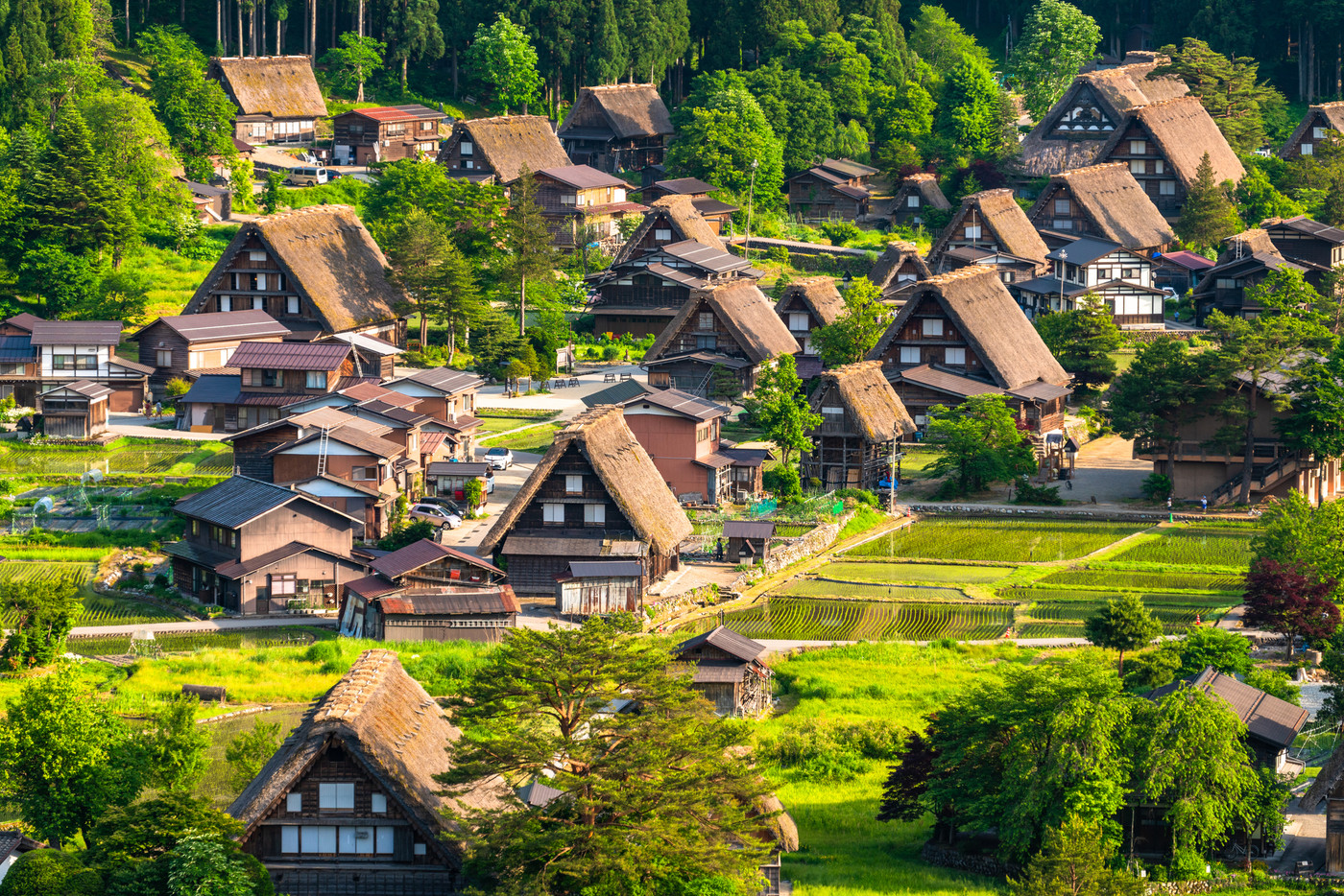 《岐阜県》白川郷全景・初夏