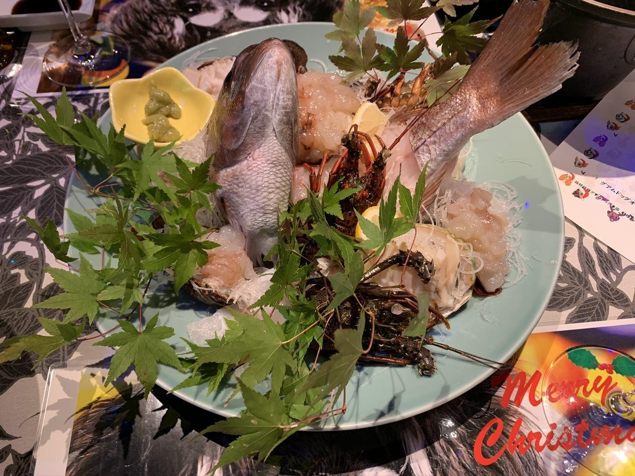 ワンちゃん歓喜。専用ビュッフェで贅沢なひととき3925106