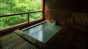 強酸性の蔵王温泉 樹林の湯 / 2