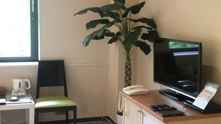 スタンダード ダブルルーム (Tropical Style)