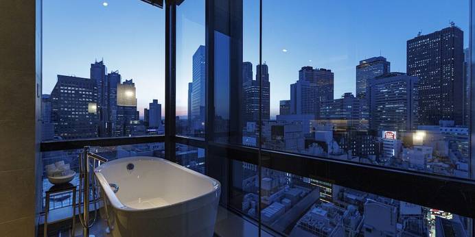 JR九州ホテル ブラッサム新宿（東京都 シティホテル） / 1