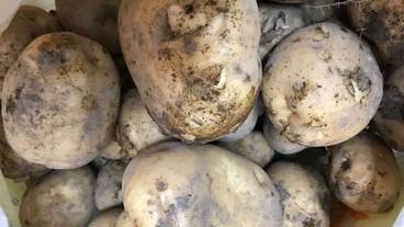 食事・飲み物 / 3