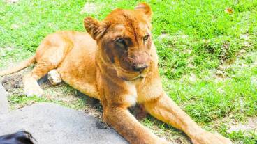 観光スポット / 5