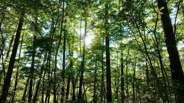 部屋からの景観 / 7