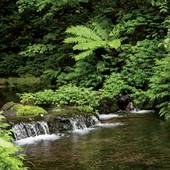 ホテル鹿島ノ森（長野県 リゾートホテル） / 5