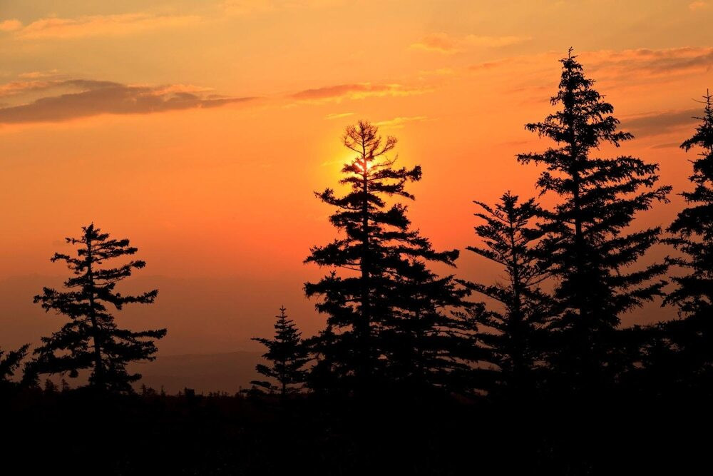 施設からの眺望