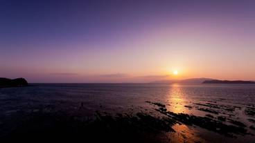 ビーチ / オーシャン ビュー / 12