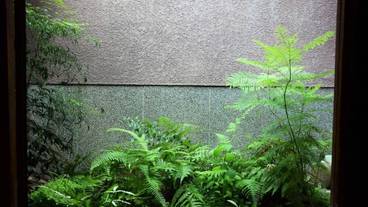 建物のデザイン / 5