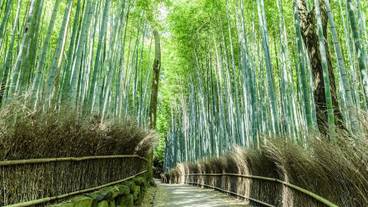 観光スポット / 10