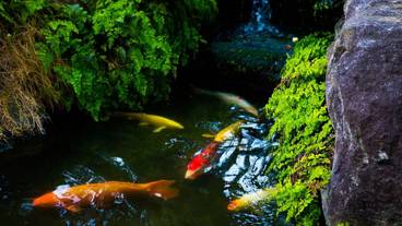 施設からの眺望 / 17