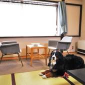 蔵王温泉 最上高湯 善七乃湯(旧:蔵王温泉 大平ホテル)(山形県 旅館) / 2