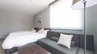 セミダブルベッド, ソファベッド Type E 禁煙