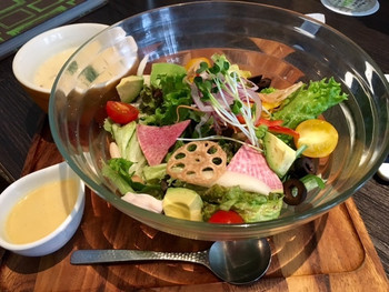「ミクロコスモス」 料理 44425470 20種類の野菜サラダ＆スープ！