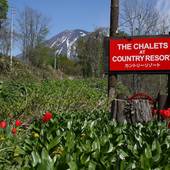 コテージ ニセコ カントリーリゾート（Chalets at Country Resort）（北海道 別荘・ヴィラ・コンドミニアム） / 5