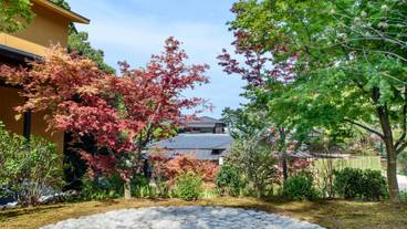 箱根 翠松園(ハコネ スイショウエン) / 6