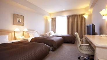 デラックスツイン① / 12