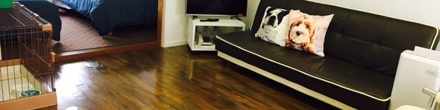 淡路島でペットとのんびり旅♪ペットと一緒に泊まれるホテル5選