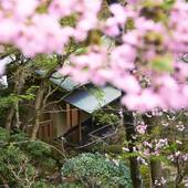 熱海 慧薗（静岡県 旅館） / 4