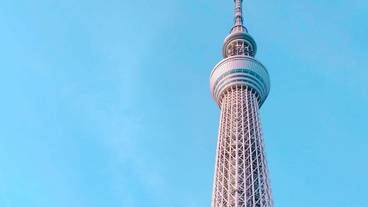 観光スポット / 8