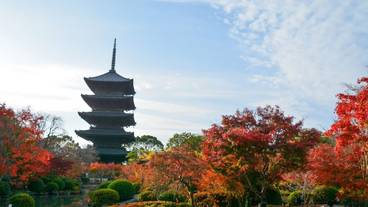 観光スポット / 10