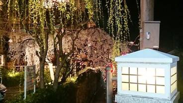 観光スポット / 12