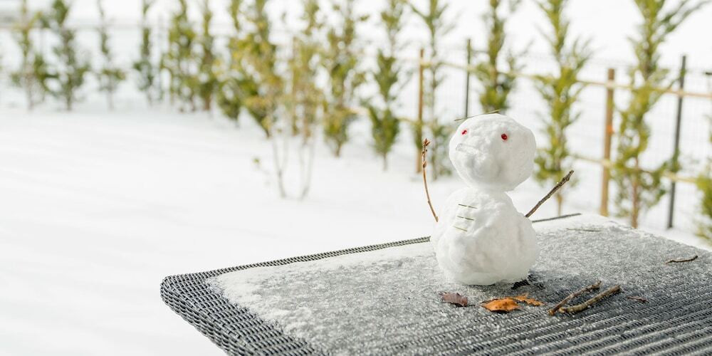 テラス / パティオ