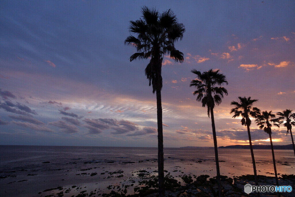 里海、里山の恵みたっぷりの南国リゾート「鴨川」3356462