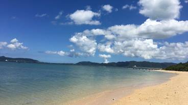 施設からの眺望 / 22