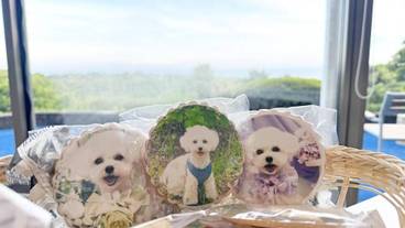 ペット用設備・サービス / 4