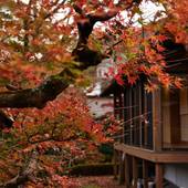 熱海 慧薗（静岡県 旅館） / 5