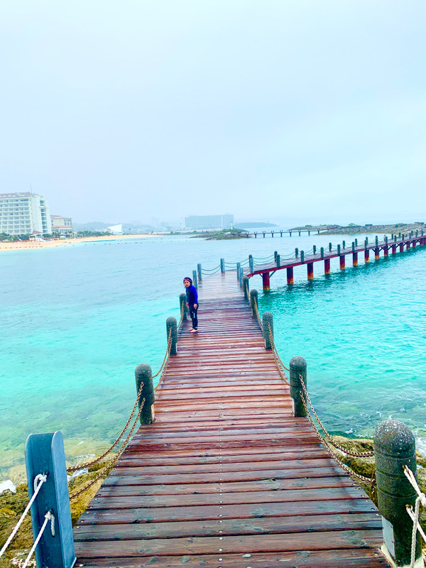 mignon_2015さんの写真 / 4