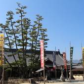 宮島シーサイドホテル（広島県 旅館） / 5