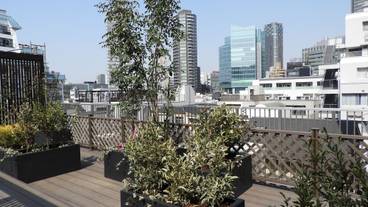 施設からの眺望 / 14