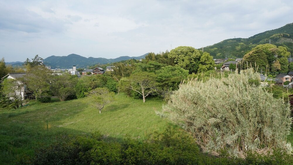 マウンテン ビュー