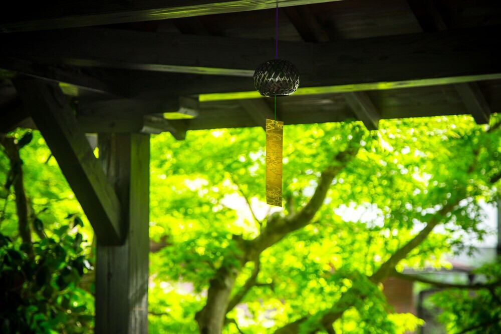 施設からの眺望