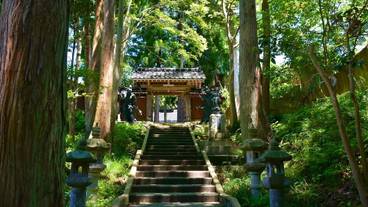 観光スポット / 7