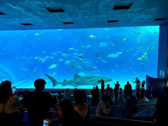 himmels_7さんの写真 / 2