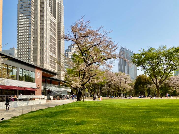 新宿のオアシスで
森林浴を楽しむ / 1