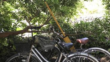 自転車 / 1