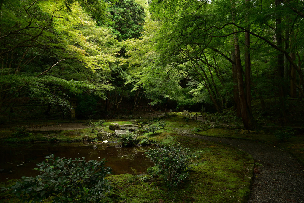 醍醐寺（だいごじ）1584733