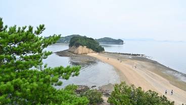 観光スポット / 6