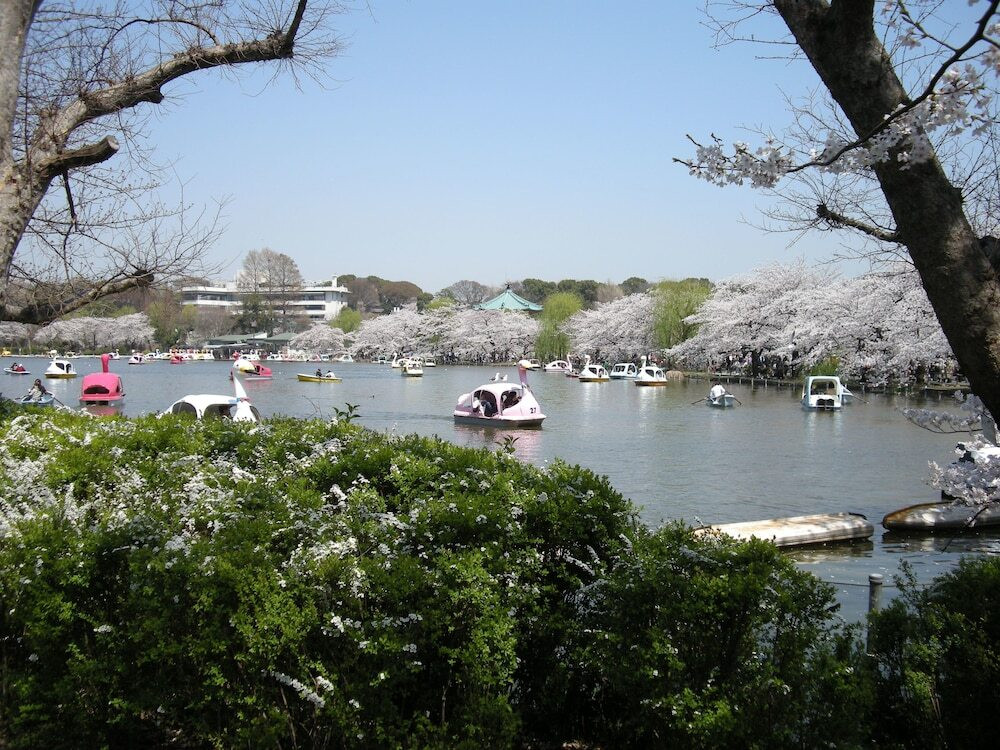 湖