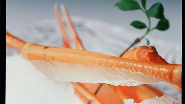 レストラン / 13