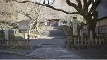 ランド ビュー / 26