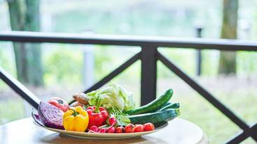 テラス / パティオ / 7