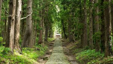 施設の敷地 / 23