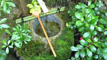 施設の敷地 / 14